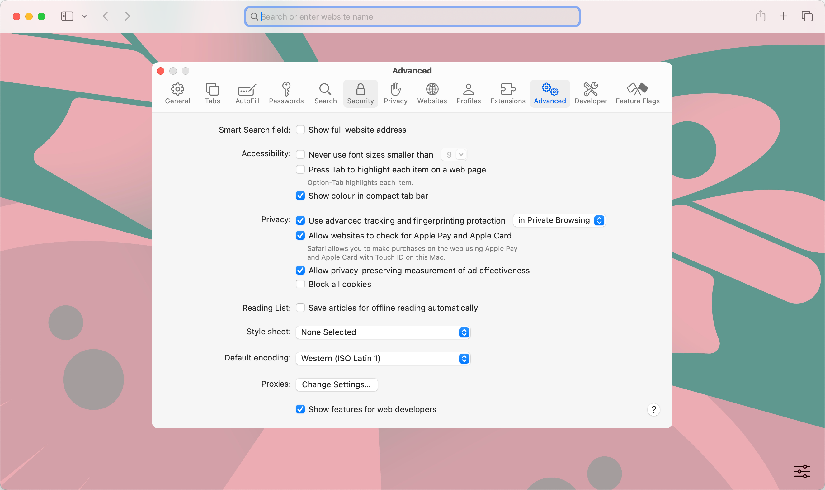 The Advanced Settings menu of the Safari browser