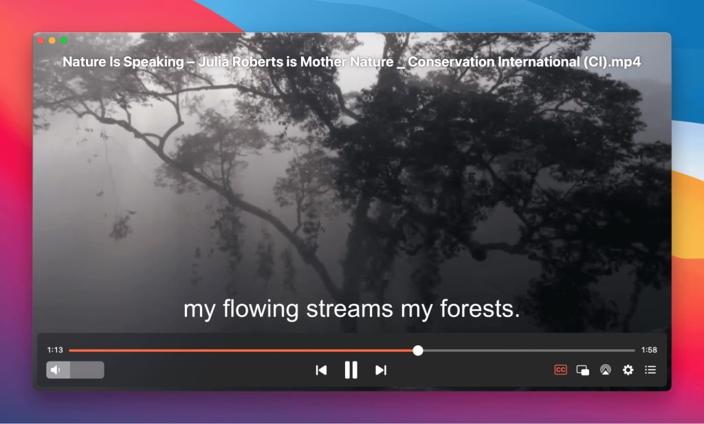 Subtitles in Elmedia Player