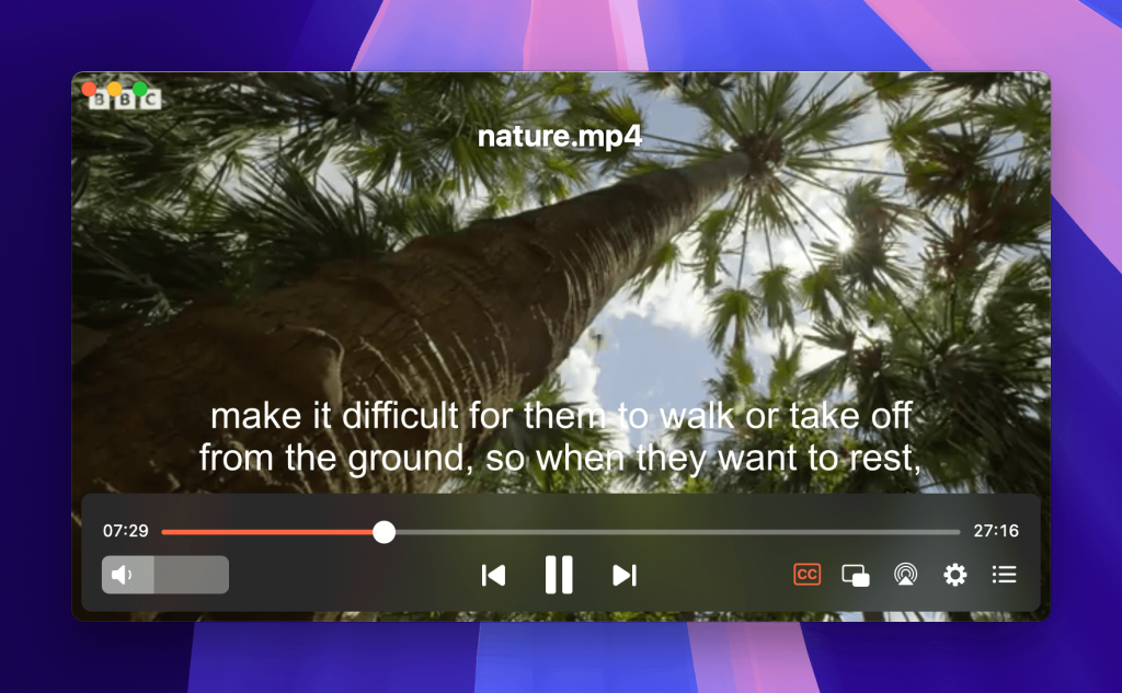 After loading your SRT file to the same folder with the video, run your file. Subtitles will be displayed automatically.