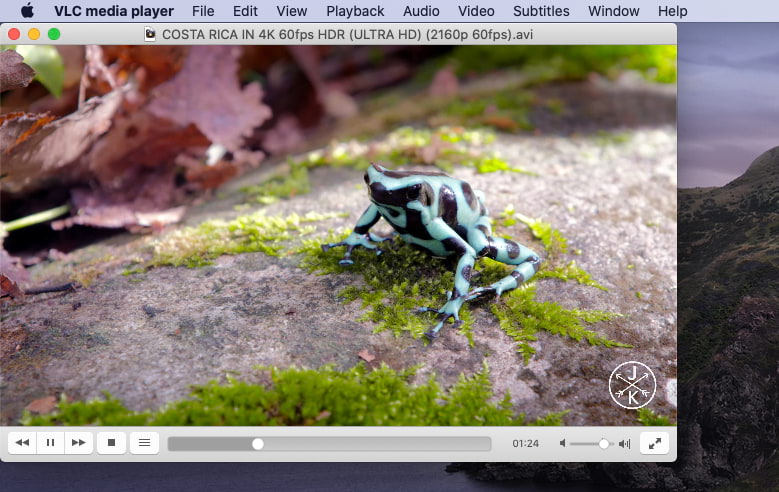 codec pack for media player mac