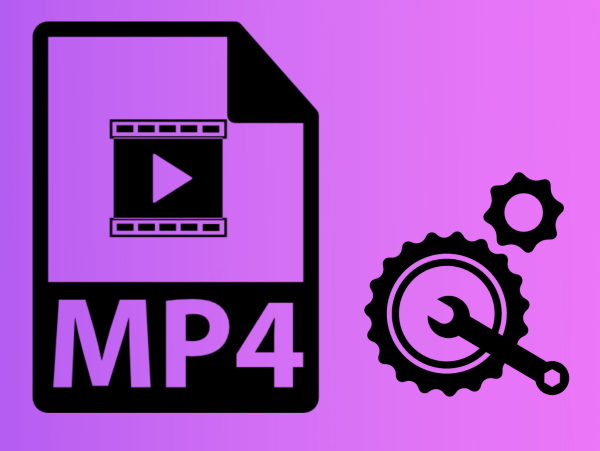 Corrupted MP4 file